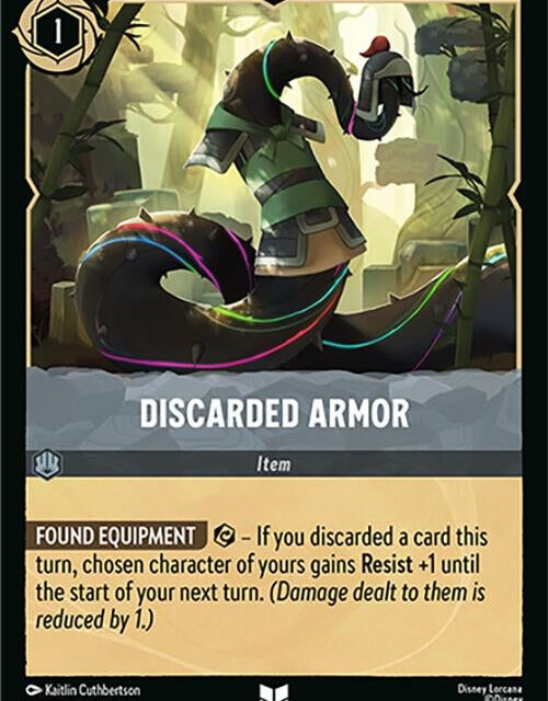 Discarded Armor (204/207) (13)